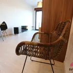 Rent 1 bedroom apartment in Capital City of Prague