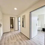 Rent 1 bedroom apartment in Brno