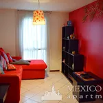 Rent 2 bedroom apartment of 90 m² in Mexico City