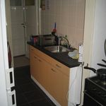 Rent 1 bedroom apartment of 14 m² in Arnhem