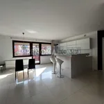 Rent 2 bedroom apartment of 55 m² in Wrocław