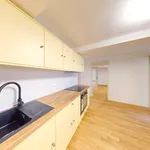 Rent 3 bedroom apartment in Plzeň