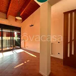 Rent 2 bedroom apartment of 50 m² in Bologna