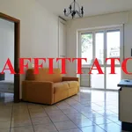 Rent 2 bedroom apartment of 50 m² in Monza