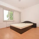 Rent 2 bedroom apartment of 60 m² in Timisoara