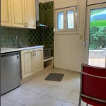 Rent 1 bedroom house of 35 m² in  Πάτρα