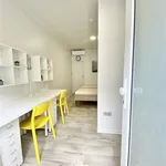 Rent 1 bedroom apartment in Brno