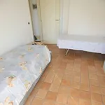 3-room flat excellent condition, ground floor, Alba Mare, Riccione