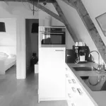 Rent 3 bedroom apartment of 55 m² in Haarlem