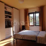 Rent 4 bedroom apartment of 110 m² in Perugia