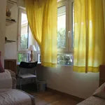 Rent 4 bedroom house in Madrid