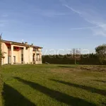 Rent 8 bedroom house of 220 m² in Arezzo