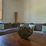 Rent 7 bedroom apartment of 165 m² in FIRENZE