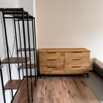 Rent 2 bedroom apartment of 40 m² in Freiburg im Breisgau