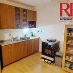 Rent 1 bedroom apartment of 31 m² in Plzeň