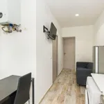 Rent 1 bedroom apartment in Turin