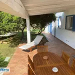 Villa arredata con terrazzo Pittulongu