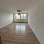 Rent 1 bedroom apartment in Karviná