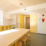 Rent 9 bedroom apartment in lisbon