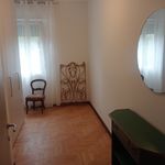 Rent a room of 12 m² in Padua