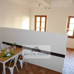 Rent 1 bedroom apartment of 31 m² in Empoli