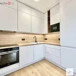 Rent 2 bedroom apartment of 64 m² in Praha