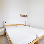 Rent 1 bedroom apartment in Brno