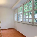 Rent 1 bedroom apartment in lisbon