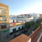 Rent 6 bedroom apartment in Seville