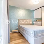 Rent 2 bedroom apartment of 67 m² in Zagreb