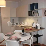 Rent 2 bedroom apartment of 50 m² in Lucca