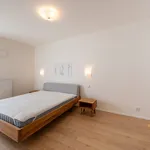 Rent 1 bedroom house of 111 m² in Capital City of Prague