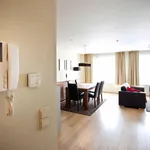 Rent 3 bedroom apartment in Brussels