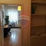 Rent 2 bedroom apartment of 60 m² in Milano