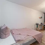 Rent a room in berlin