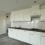 Rent 3 bedroom apartment of 95 m² in Nijmegen