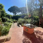 Rent 6 bedroom house of 222 m² in Capri