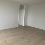 Rent 2 bedroom apartment of 59 m² in Gelsenkirchen