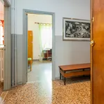 Rent 3 bedroom apartment in Rome