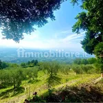 3-room flat via di petrognano, Petrognano - San Gennaro, Capannori