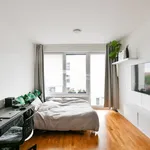 Rent 1 bedroom apartment in Prague