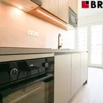 Rent 1 bedroom apartment of 27 m² in Brno