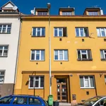 Rent 1 bedroom apartment in Capital City of Prague