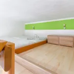 Rent 1 bedroom apartment of 20 m² in Brno