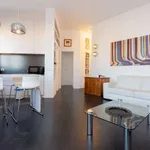 Rent 1 bedroom apartment in milan