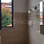 Affitto 1 camera appartamento di 35 m² in Busto Arsizio