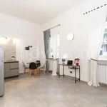 Rent 1 bedroom house of 45 m² in Torino