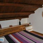 Attico arredato con terrazzo Scoglitti