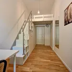 Rent 4 bedroom apartment in Prague