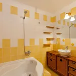 Rent 2 bedroom apartment of 47 m² in Budapest